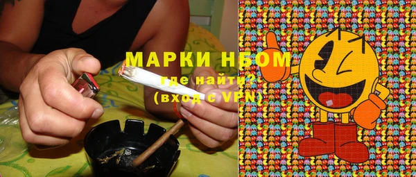 прущие грибы Богородицк