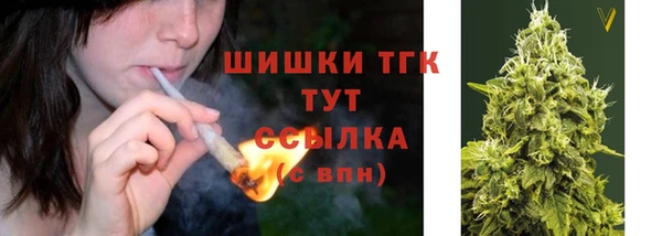 дмт Богородск