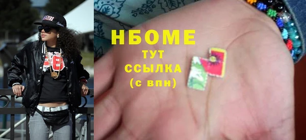 индика Беломорск
