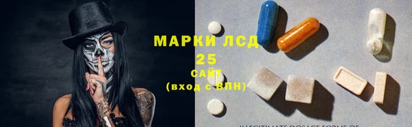 индика Беломорск