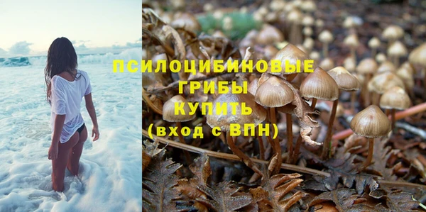 дмт Богородск