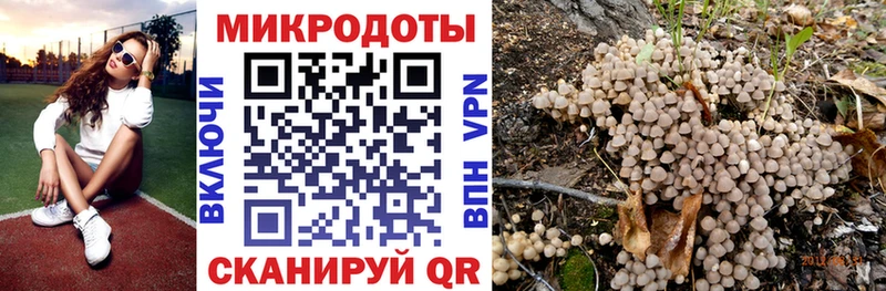 Галлюциногенные грибы MAGIC MUSHROOMS  Малая Вишера 